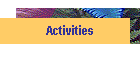 Activities