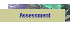 Assessment