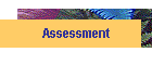 Assessment