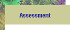 Assessment