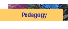 Pedagogy