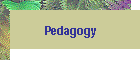 Pedagogy