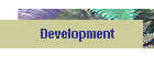 Development