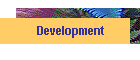 Development