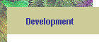 Development