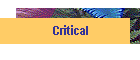 Critical