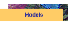 Models