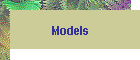 Models