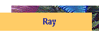 Ray
