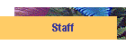 Staff