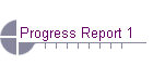 Progress Report 1