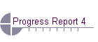 Progress Report 4