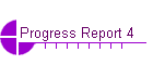 Progress Report 4