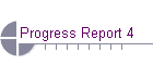 Progress Report 4