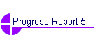 Progress Report 5