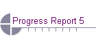 Progress Report 5